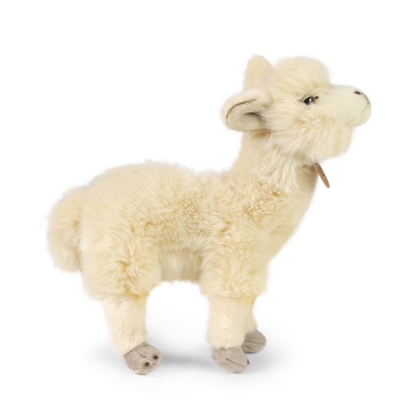 lama3.jpg