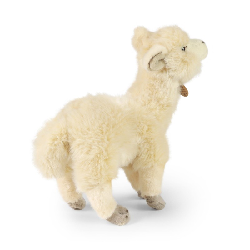 lama4.jpg