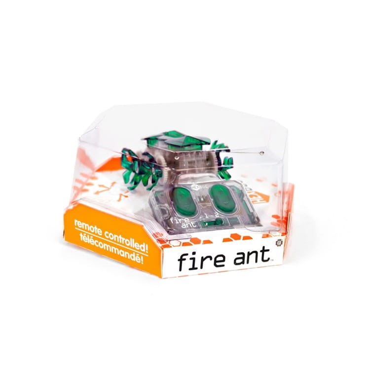 ziel-1.jpg