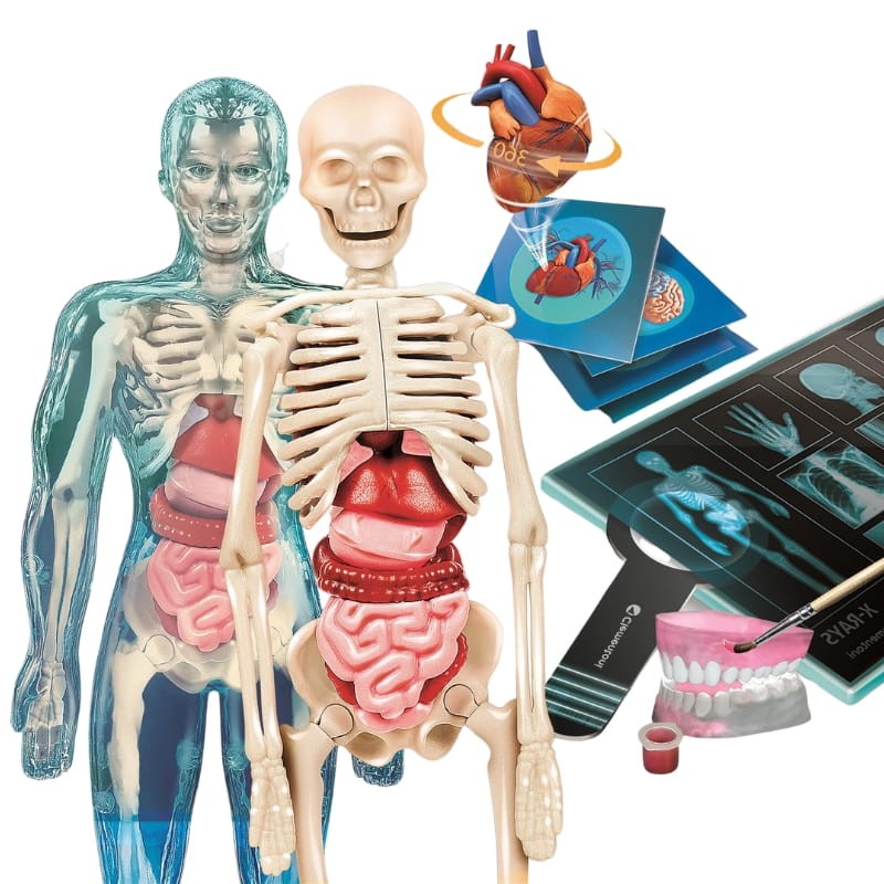 super-anatomia.jpg