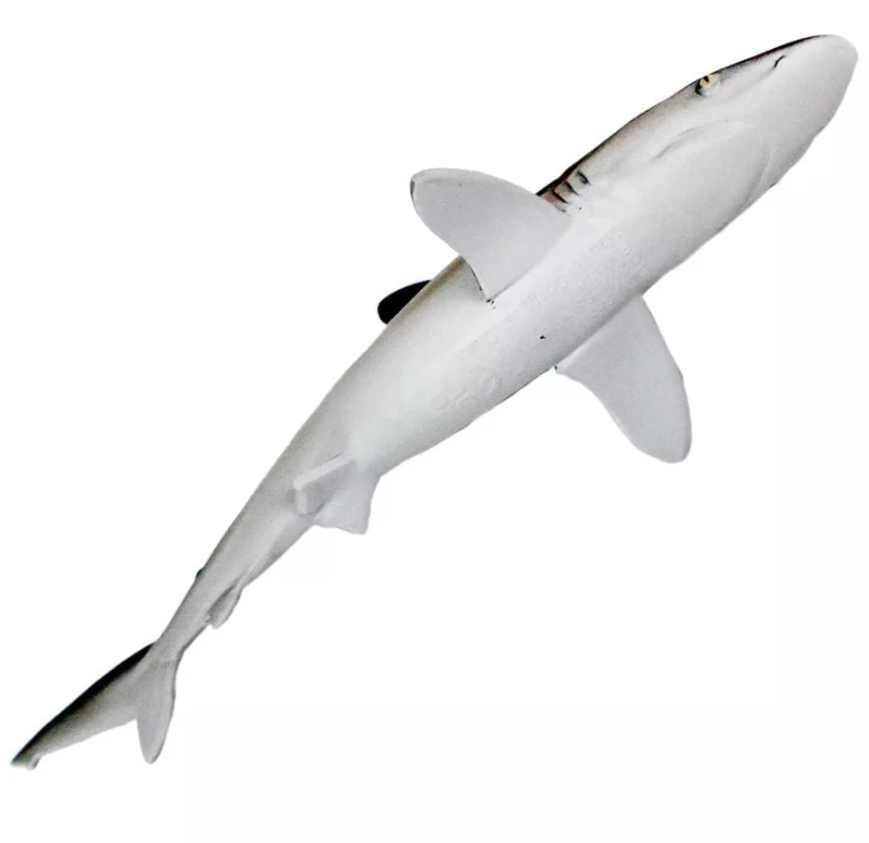 r2.JPG
