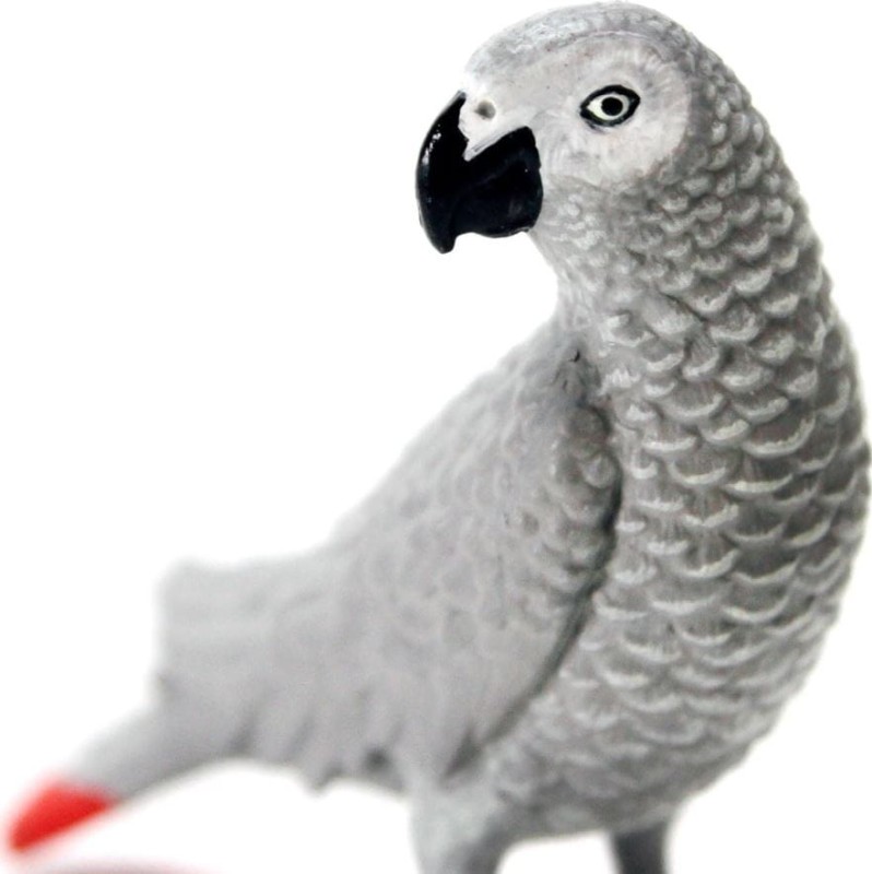 p2.JPG
