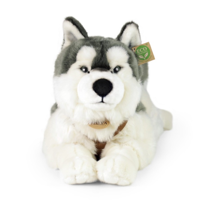 huskyl2.jpg