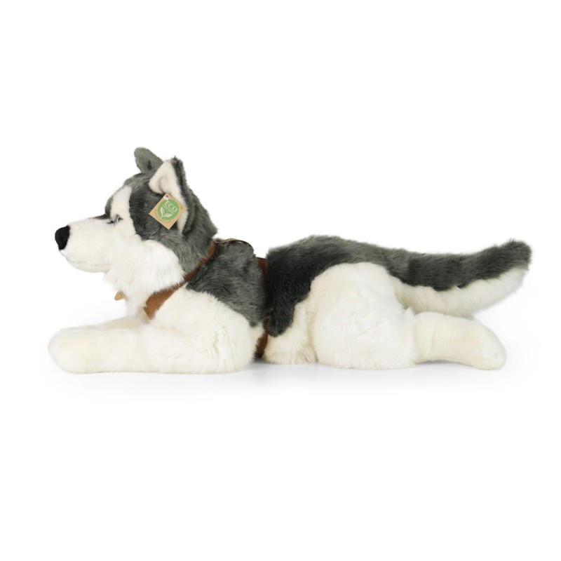 huskyl3.jpg