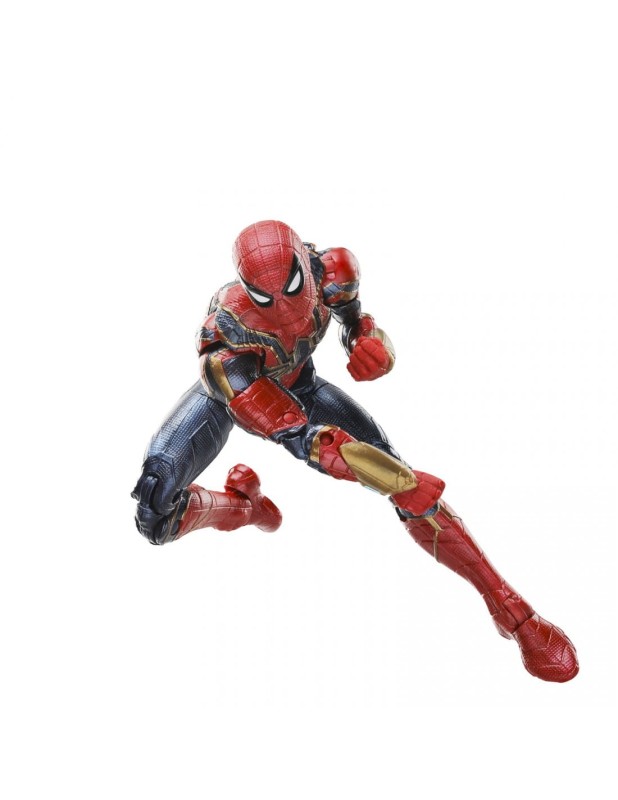 spider1.jpg