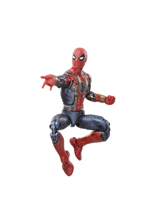 spider2.jpg
