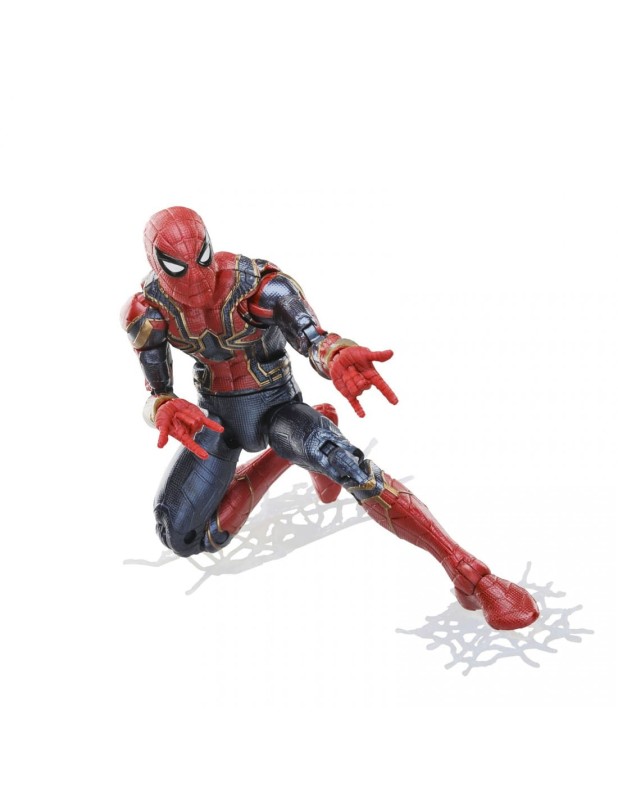 spider3.jpg