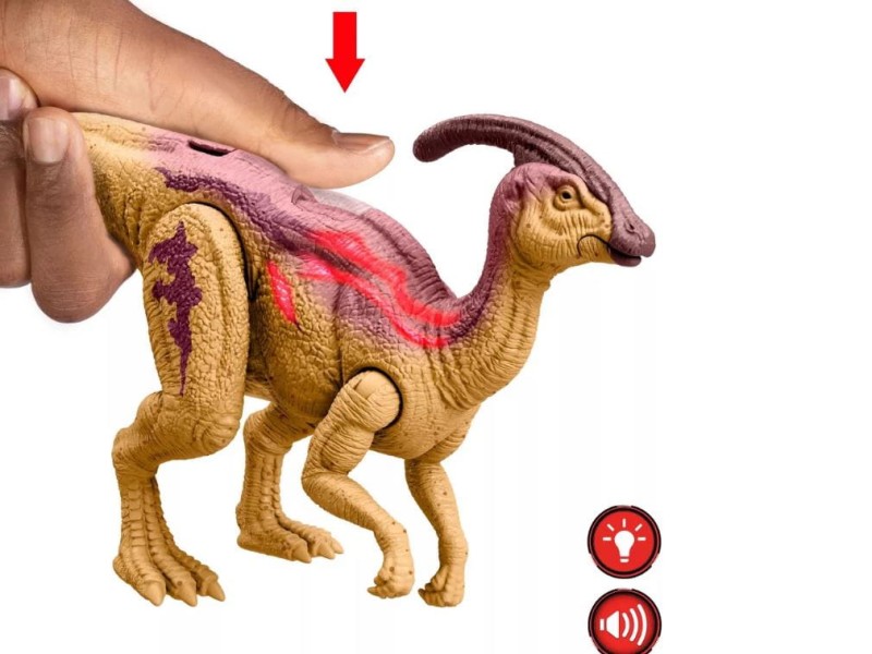 para2.JPG