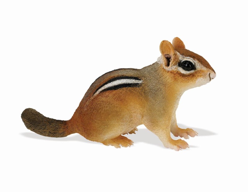 Safari-Ltd-Eastern-Chipmunk-Baby-263029.sl2630a.jpg
