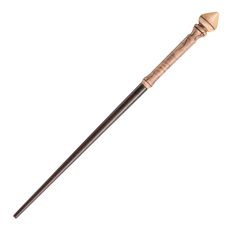 Hermione-Grangers-First-Wand-e1739876868665.png