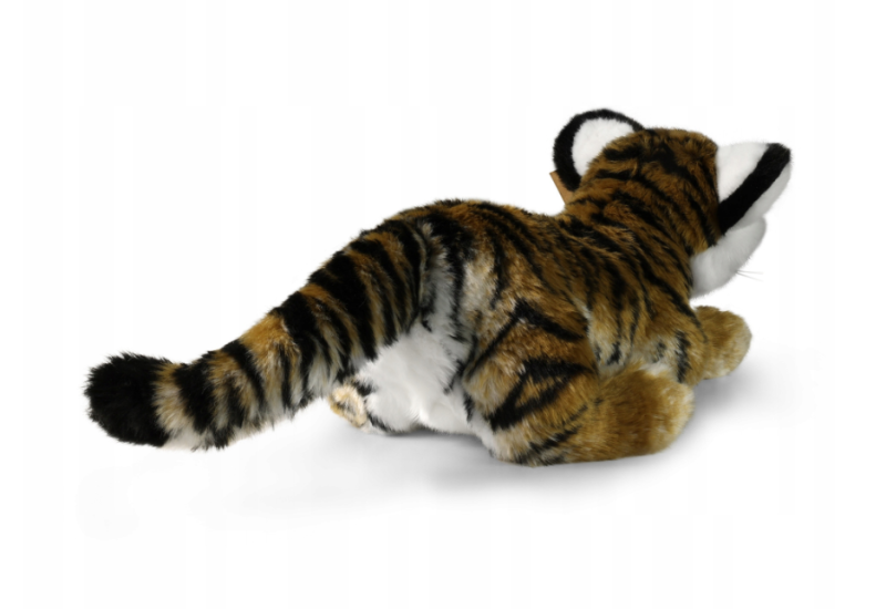 Zrzut ekranu 2025-04-22 110034.png