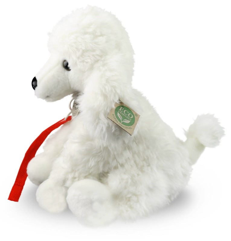 242500_3.jpg