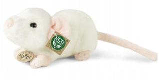 Zrzut ekranu 2025-05-22 142448.png