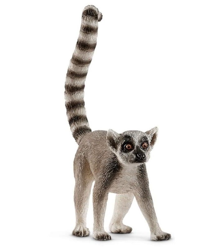 3384836ced2986ba62286de0de6b54a3