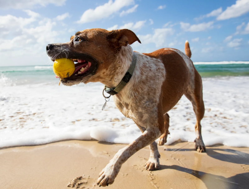 Zrzut ekranu 2025-06-17 083132.png