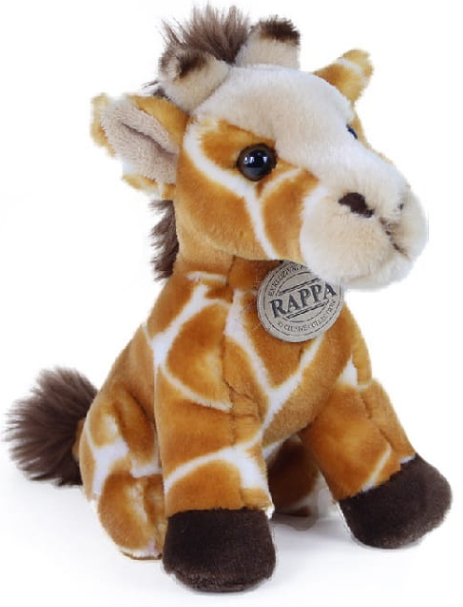 Zrzut ekranu 2025-06-17 095851.png