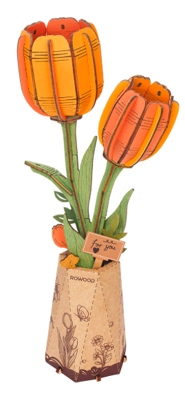 Zrzut ekranu 2025-06-18 080624.png