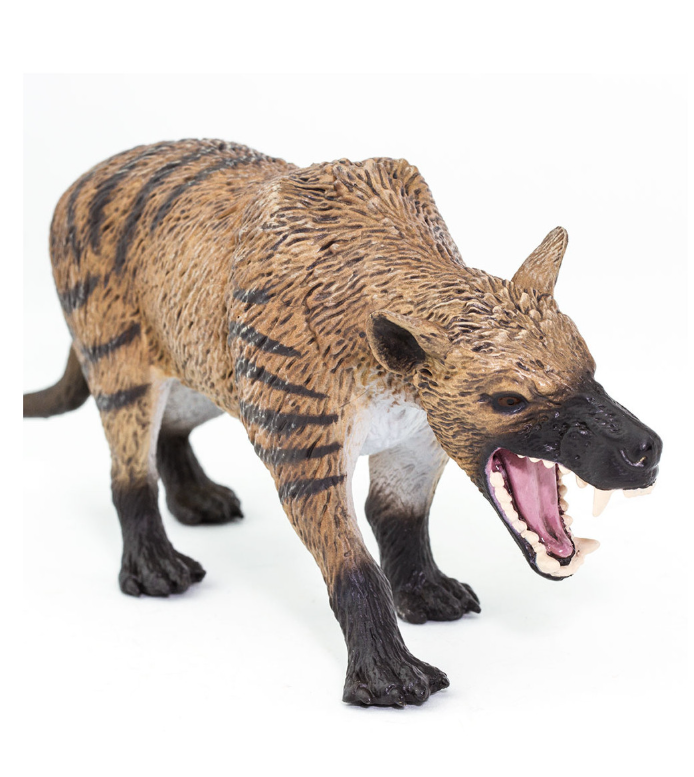 Zrzut ekranu 2025-06-18 094339.png