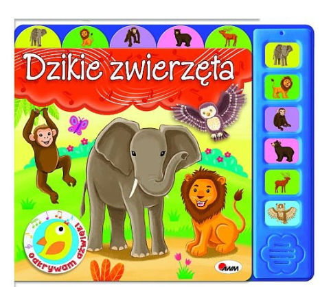 Zrzut ekranu 2025-06-27 115351.png