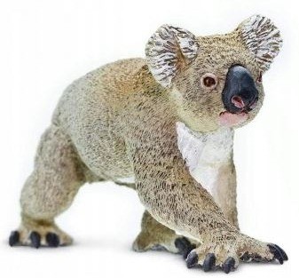 koala.JPG