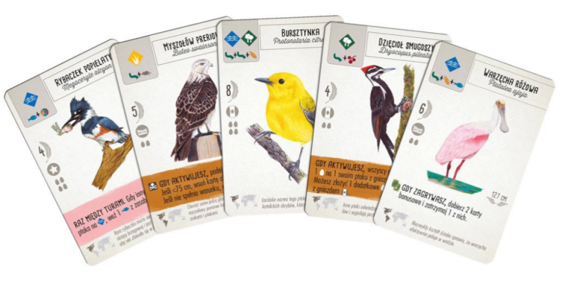 Zrzut ekranu 2025-09-22 143357.png