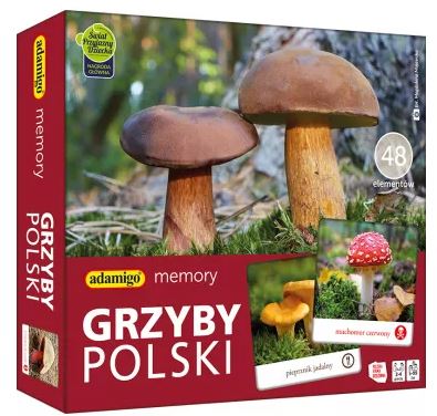 grzyby.JPG