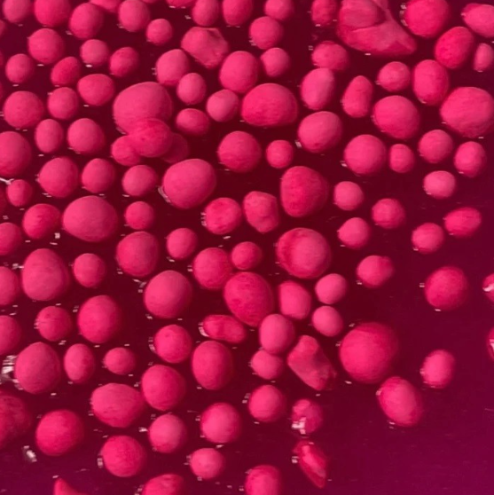 Zrzut ekranu 2025-10-07 141544.png