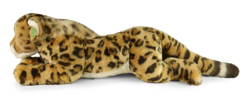 Zrzut ekranu 2025-10-10 111129.png