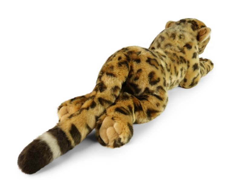 Zrzut ekranu 2025-10-10 111138.png