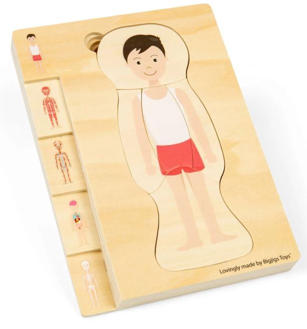 anatomia1.JPG