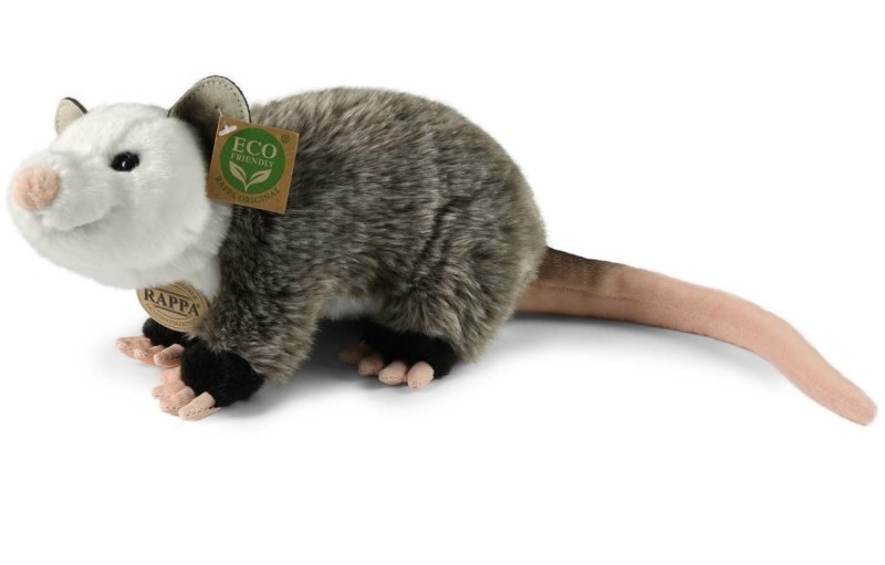 opos2.jpg