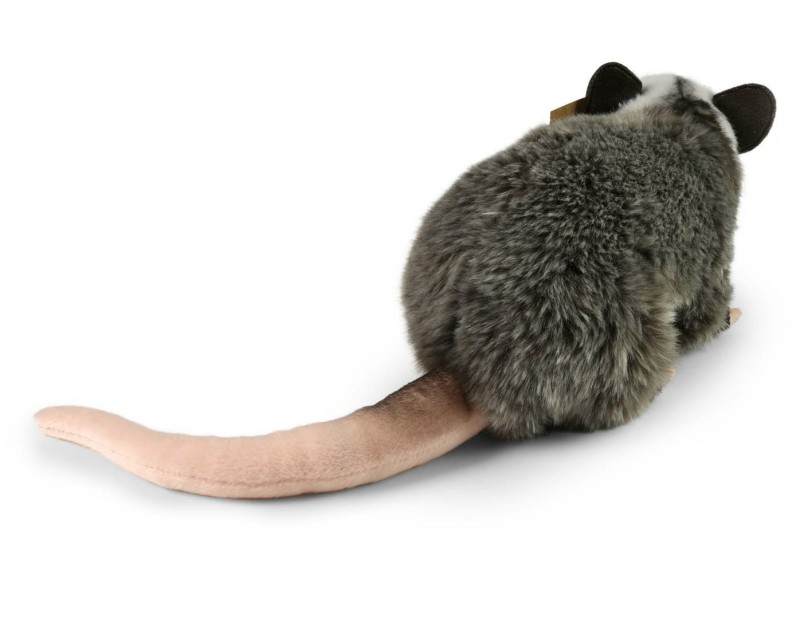 opos3.jpg