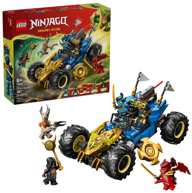 ninja1.JPG