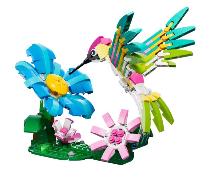 31384-koliber2.jpg