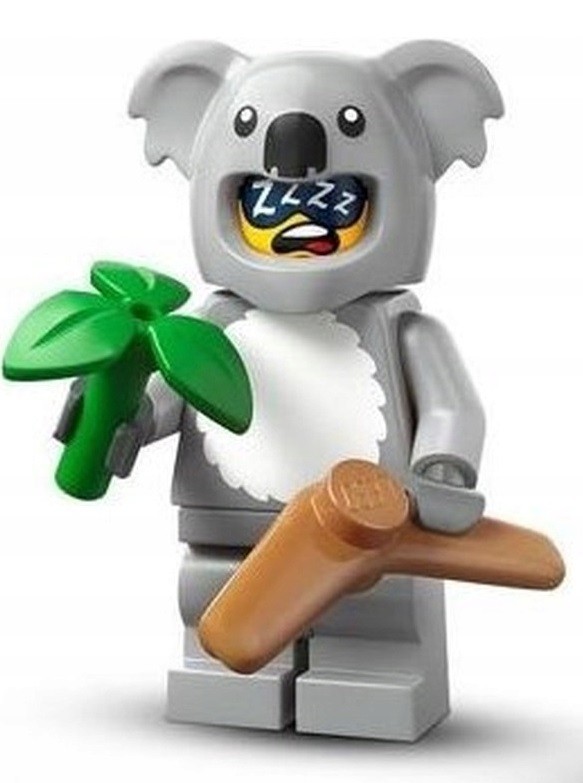 71051-koala.jpg