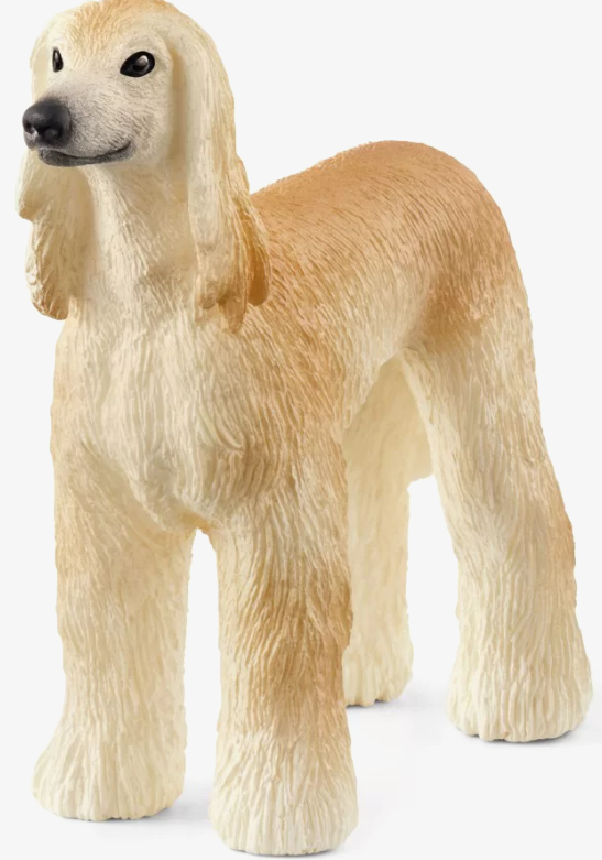 Zrzut ekranu 2026-02-02 144441.png