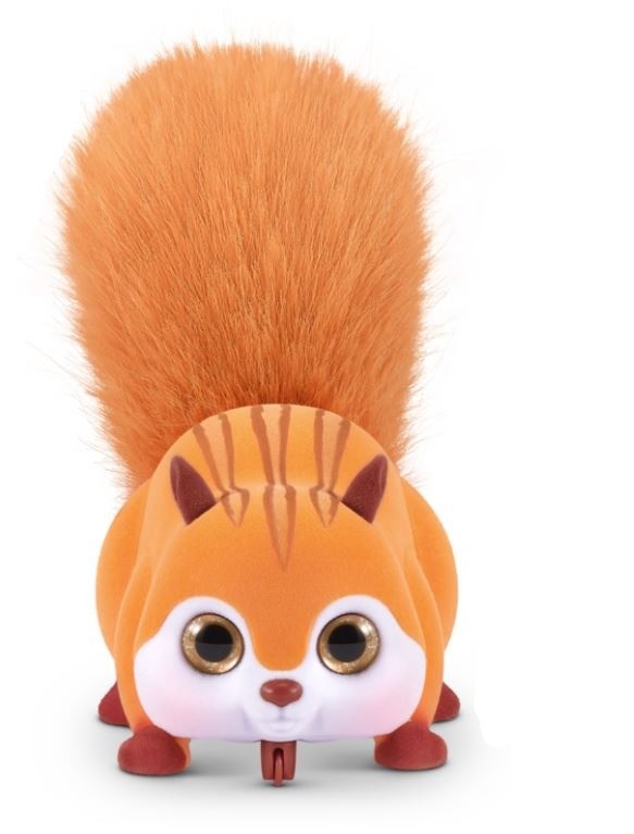 pom1.JPG