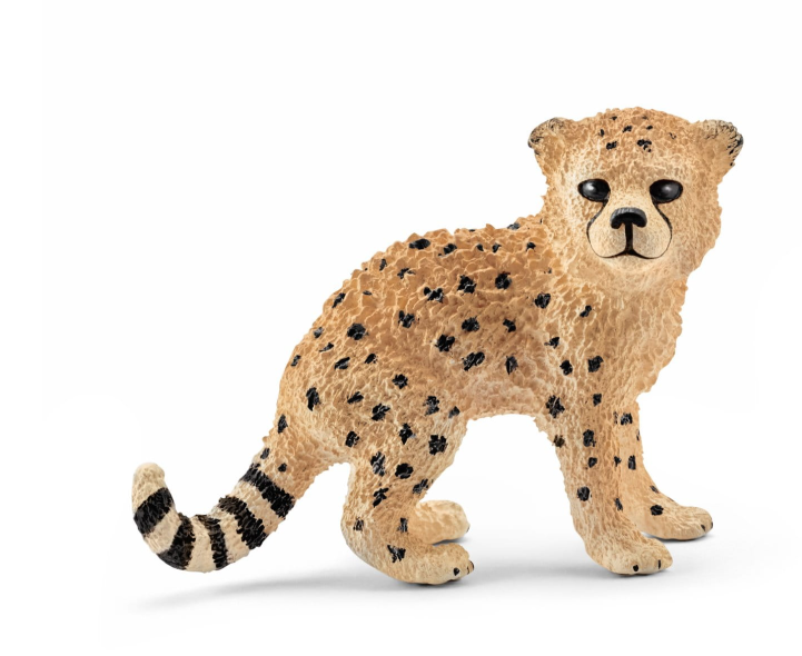 młody gepard.png