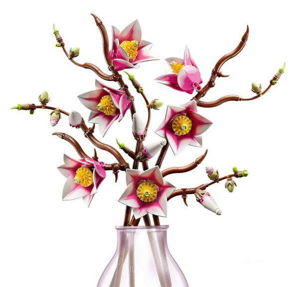 magnolia3.PNG