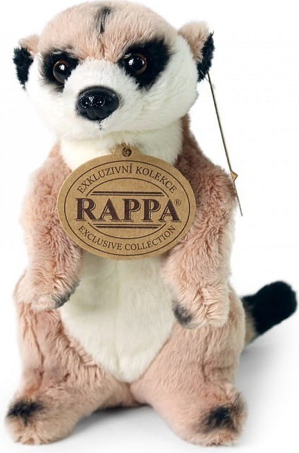 0f417b052b64ede3101a6c7ca1ee0e71