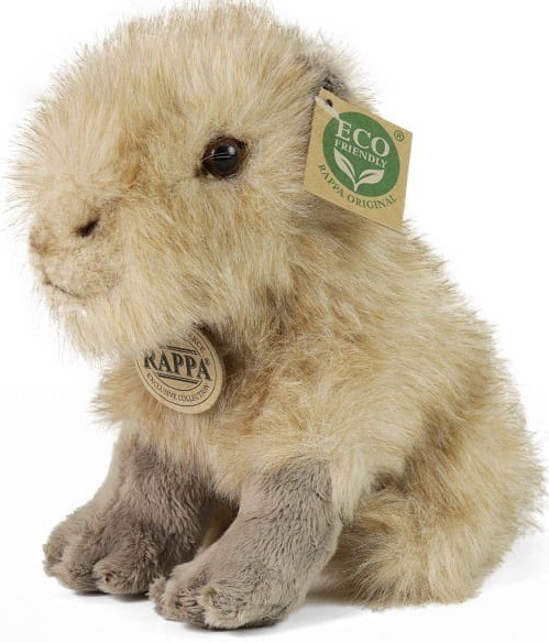 3da9df7f38432e9b0671ce28b205e588