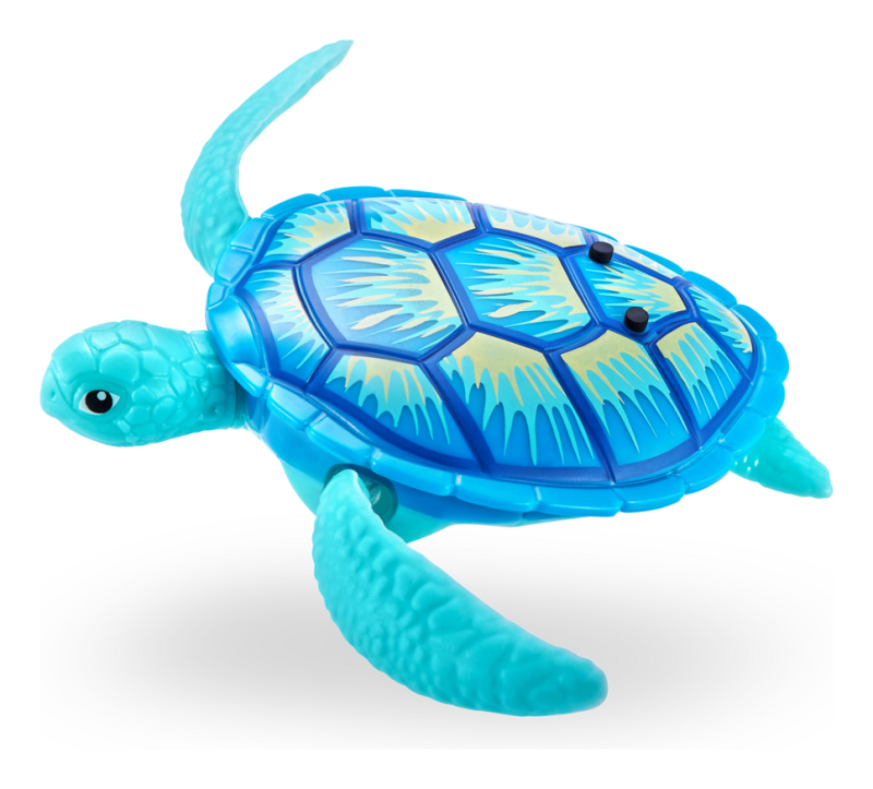 71161-turtle2.png