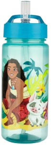 Disney - Bidon Vaiana 500 ml VAIA9913