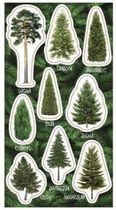 RANOK - Naklejki drzewa iglaste – 1850