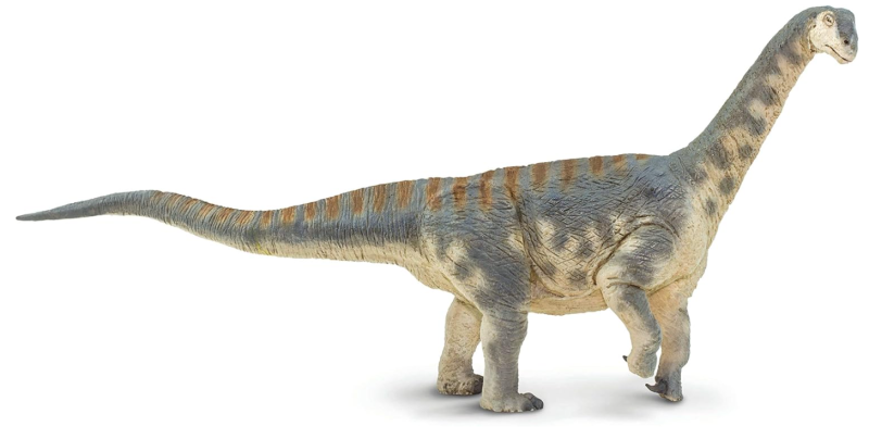 Camarasaurus.png