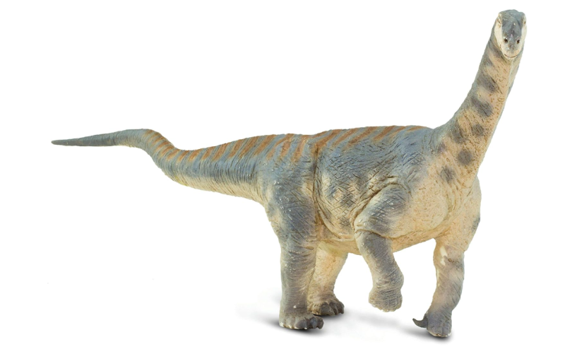Camarasaurus-1.png