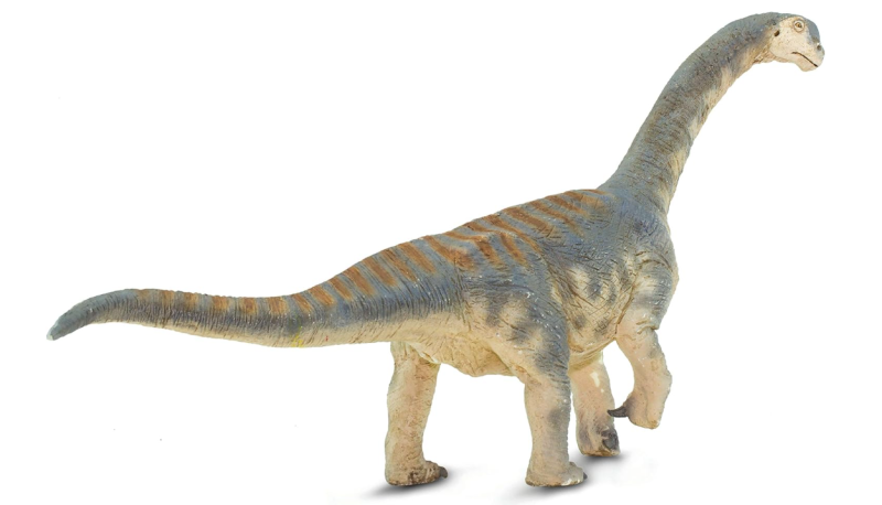 Camarasaurus-3.png