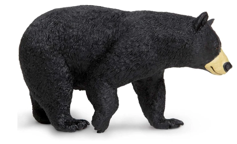 niedźwiedź czarny-2.png