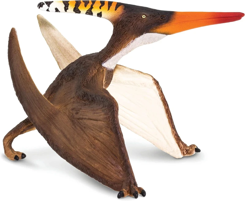 100301-pteranodon.jpg