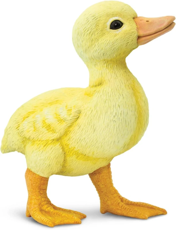 265829-pisklę.jpg